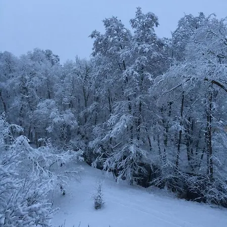 別荘 Am Rachental *