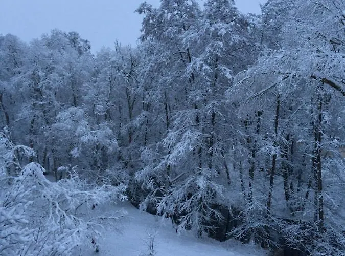 Ferienhaus Am Rachental *