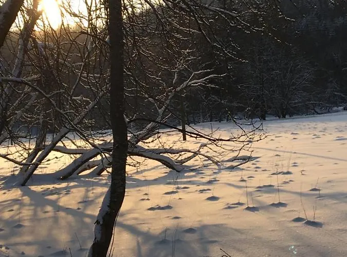 Am Rachental * Höhlenort Rübeland